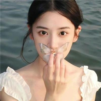星蝶公主第四季